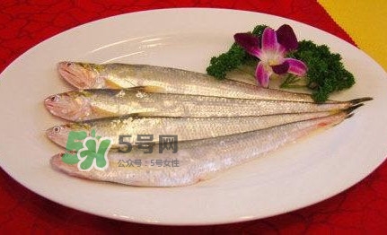 秋刀魚是刀魚嗎？秋刀魚和刀魚的區(qū)別