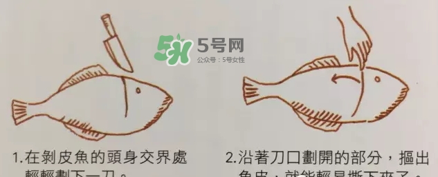 剝皮魚為什么要剝皮？剝皮魚的皮有毒嗎？