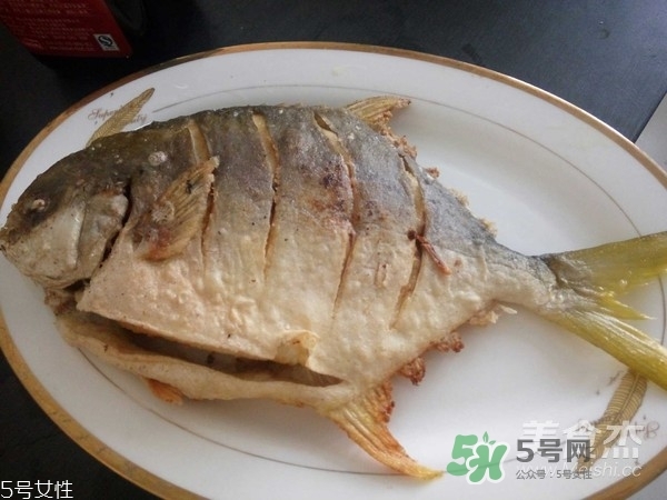 金鯧魚(yú)是海魚(yú)嗎？金鯧魚(yú)的刺多嗎？