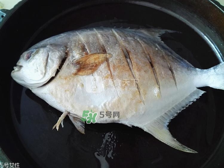 金鯧魚的營養(yǎng)價值 金鯧魚的功效作用