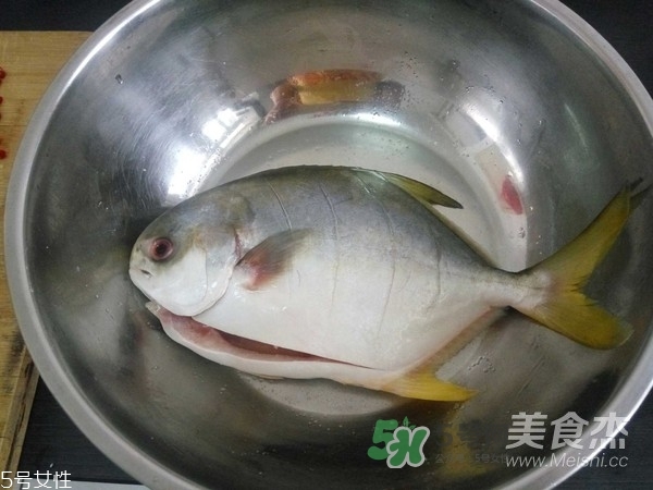 金鯧魚(yú)是海魚(yú)嗎？金鯧魚(yú)的刺多嗎？