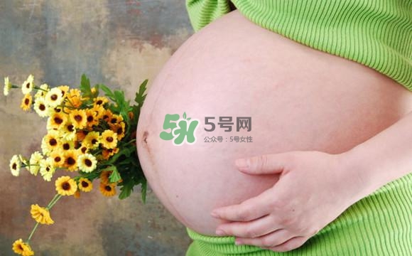 為什么孕婦的肚子有尖有圓？孕婦肚子尖圓對照圖