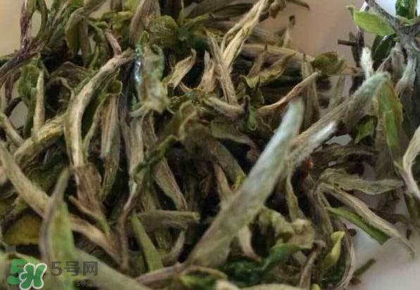 白茶需要洗茶嗎？白茶是洗還是不洗？