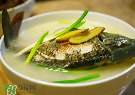 鯉魚湯怎么做好吃？鯉魚湯里面可以放什么？