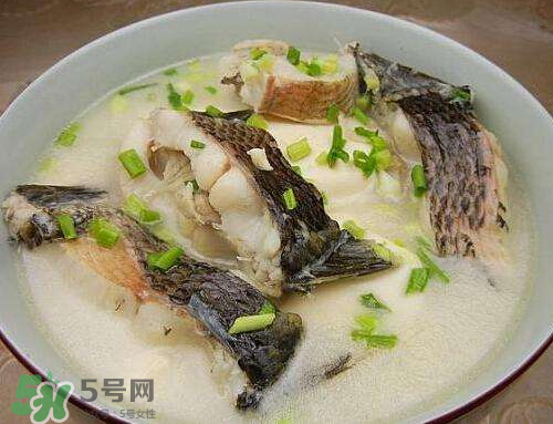 黑魚湯對(duì)傷口有好處嗎？黑魚湯的做法術(shù)后恢復(fù)