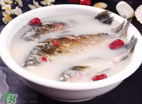 鯽魚湯里可以放什么菜最好？鯽魚燉湯放什么菜？