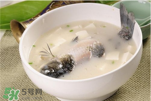 喝鯽魚(yú)湯會(huì)胖嗎？鯽魚(yú)湯可以經(jīng)常喝嗎？