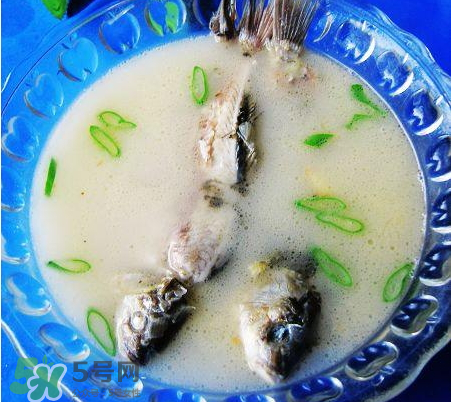 鯽魚湯可以放牛奶嗎？牛奶鯽魚湯的做法