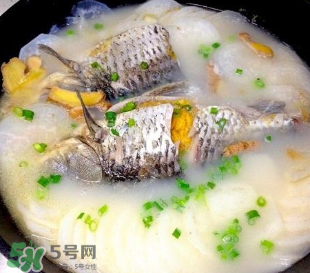 鯽魚湯可以放牛奶嗎？牛奶鯽魚湯的做法