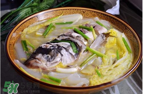 鰱魚湯怎么熬湯？鰱魚湯的功效與作用