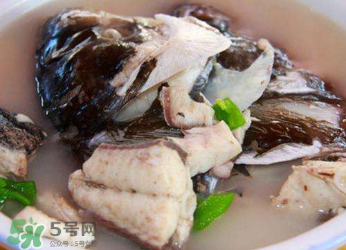 鰱魚湯怎么熬湯？鰱魚湯的功效與作用