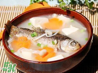 怎樣吃魚最有營養？喝魚湯會致高脂血癥嗎？