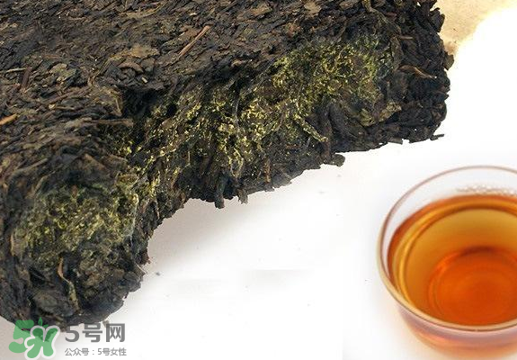 茯茶是熱性還是涼性？茯茶是不是放越久越好？