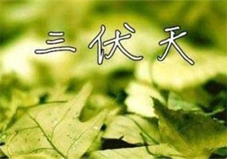 為什么三伏天最熱？如何過(guò)好三伏天？