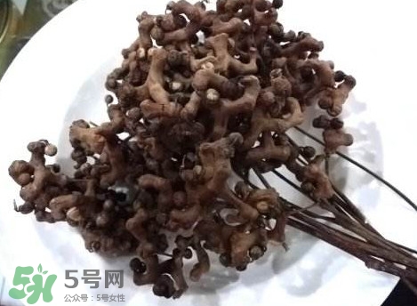 拐棗可以嫁接嗎？拐棗是哪里的特產