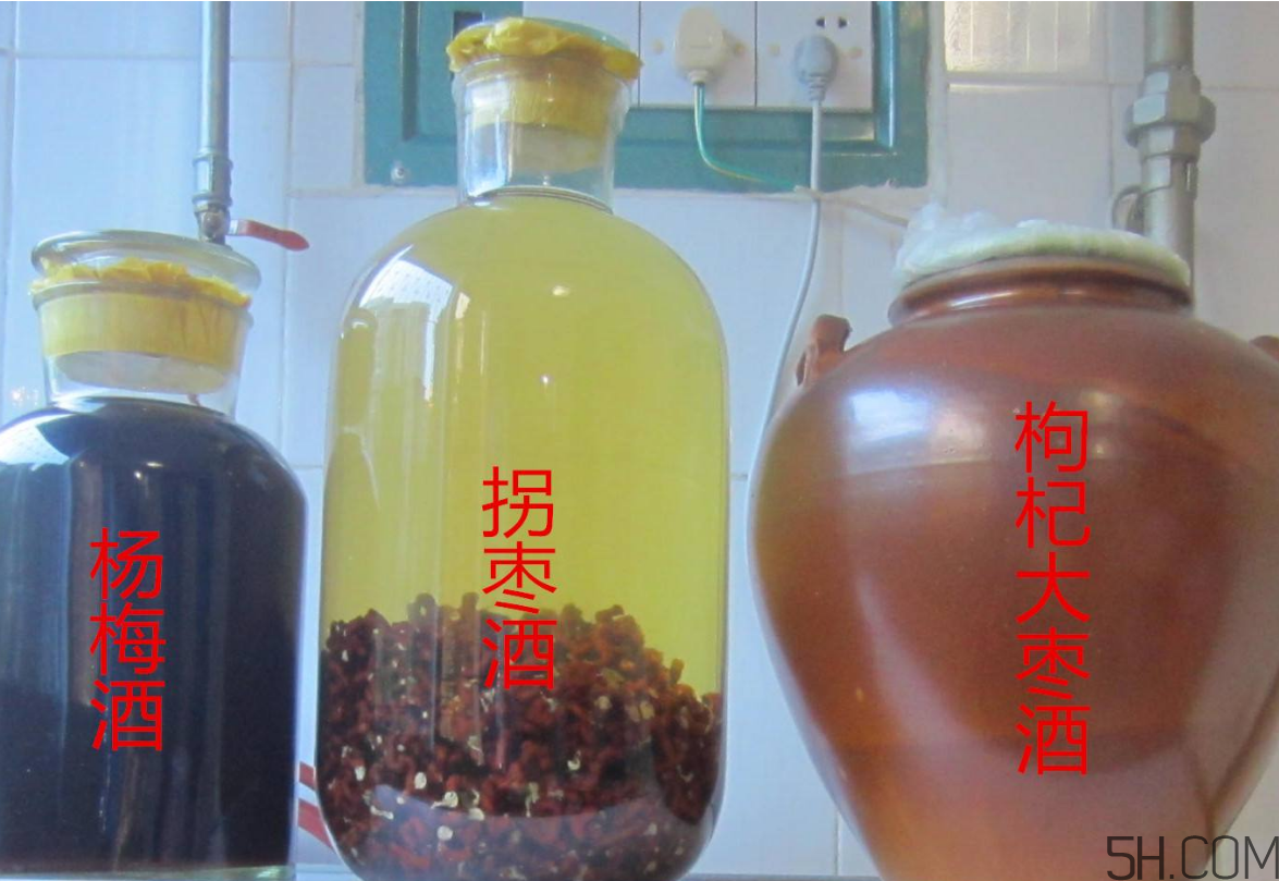 拐棗能泡酒嗎？拐棗能和蜂糖一起泡酒嗎？