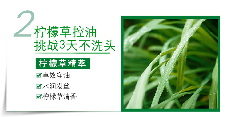 歐萊雅茶樹植萃去屑凈油洗發露