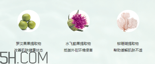 玫琳凱保濕爽膚水