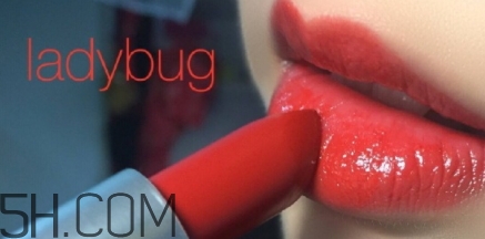 mac lady bug掉色嗎？mac ladybug真假辨別