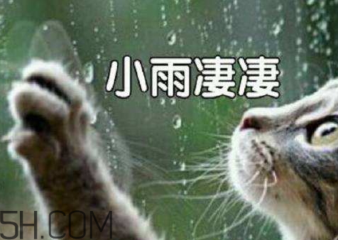 2018年降雨量比2017年多還是少 2018年全年降雨量預測