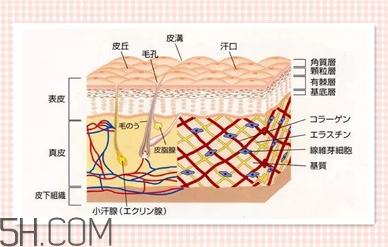 水光針可以祛斑嗎？涂抹式水光針的效果好嗎？