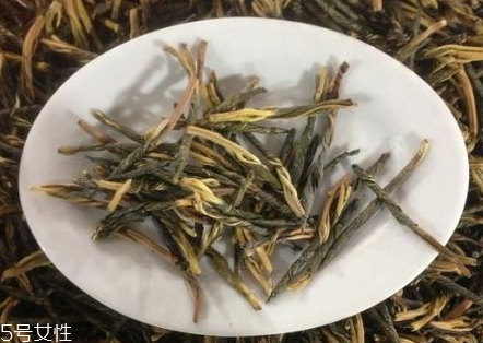 苦丁茶什么時候喝最好 適合喝苦丁茶的季節