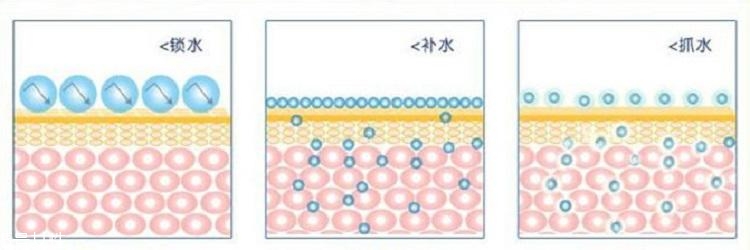 干皮怎么補水 干皮科學補水三步走