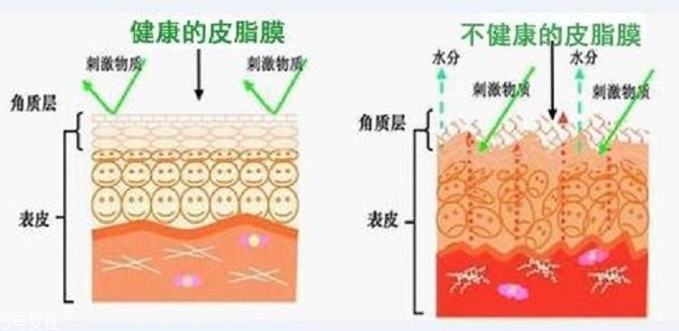 干皮怎么補水 干皮科學補水三步走