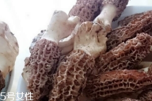 羊肚菌是什么東西？羊肚菌能吃嗎？