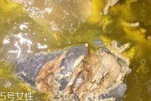 烏骨雞是烏雞嗎？烏骨雞是什么雞？