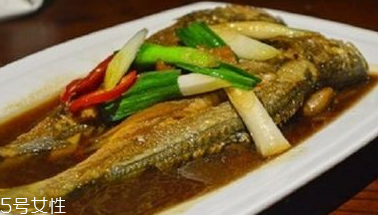 青魚是鯉魚嗎？青魚和鯉魚是不是一樣的？