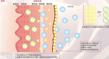 頑固痘痘怎么消除？油皮為什么反復爆痘？