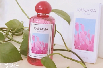 xanasia小紅瓶玻尿酸適合季節 夏天用油不油