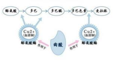 干性皮膚怎么去斑最好 堅持3原則斑點拜拜