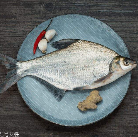 鳊魚有魚腥線嗎 淡水魚一般都有