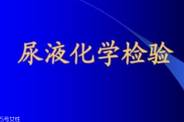 從尿液看健康 一天尿液的正常標準