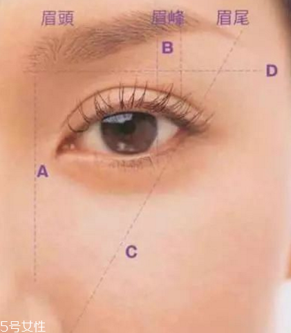 初學者怎么修眉毛 修出完美眉型