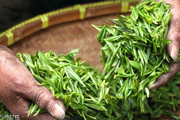 龍井為什么味道淡 茶的濃淡感