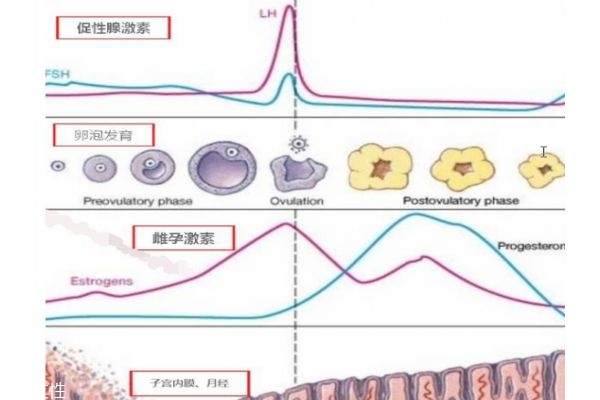 高齡如何備孕 這幾點一定要注意