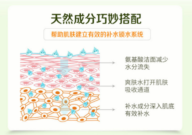 種草綠色農場，輕松擁有逆齡肌