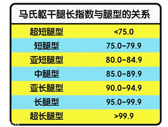 什么樣的腿算長 你知道怎樣是真正的腿精