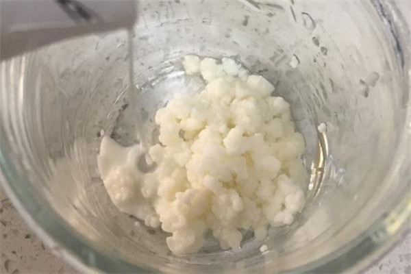 雪蓮菌什么人不適合吃 經(jīng)期可以吃雪蓮菌嗎