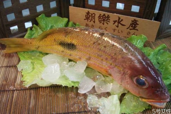 什么是鱒魚呢 鱒魚有什么營(yíng)養(yǎng)價(jià)值呢