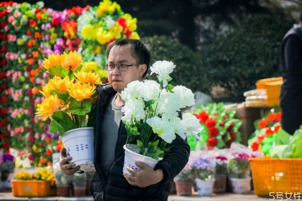 清明節的鮮花要用幾朵 清明節掃墓應該用什么花