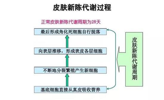 怎樣能提高代謝功能 提高代謝功能的方法