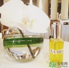 lamer海藍之謎精華油多少錢？海藍之謎renewal oil面油價格