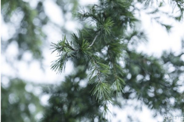 新婚夫妻長期分居兩地怎么辦 分居怎么挽救婚姻