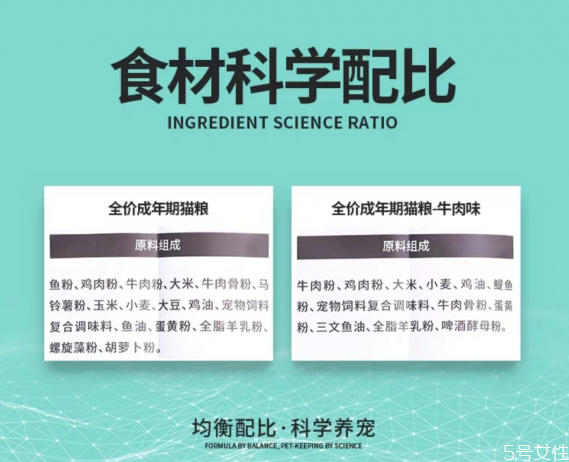 凱銳思貓糧怎么樣 凱銳思貓糧到底能不能吃