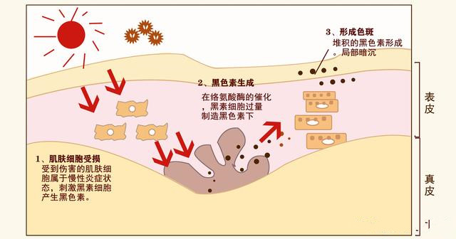 防曬步驟護膚的正確步驟 防曬步驟的先后順序排列