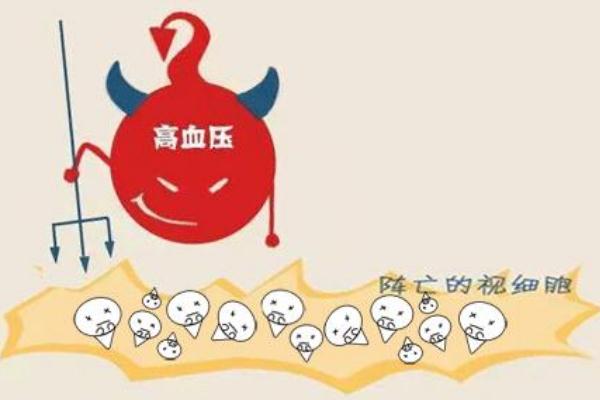 高血壓可以打新冠肺炎疫苗嗎 吃降壓藥能打新冠肺炎疫苗嗎